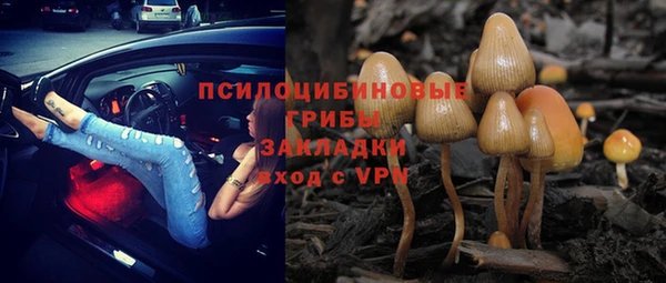 бошки Ростов