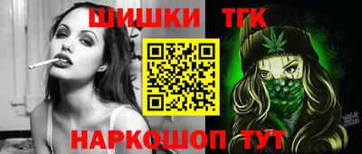 mdpv Гатчина