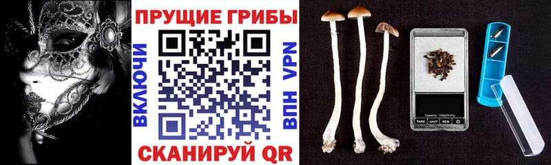 Галлюциногенные грибы мицелий  Лыткарино 