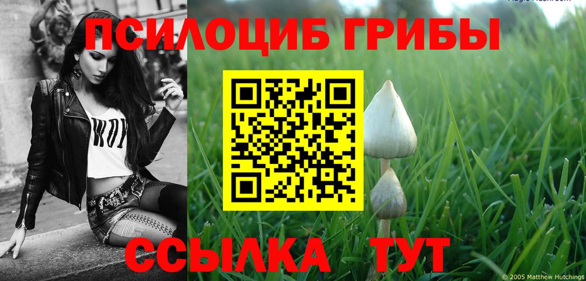 Псилоцибиновые грибы Psilocybine cubensis Лыткарино