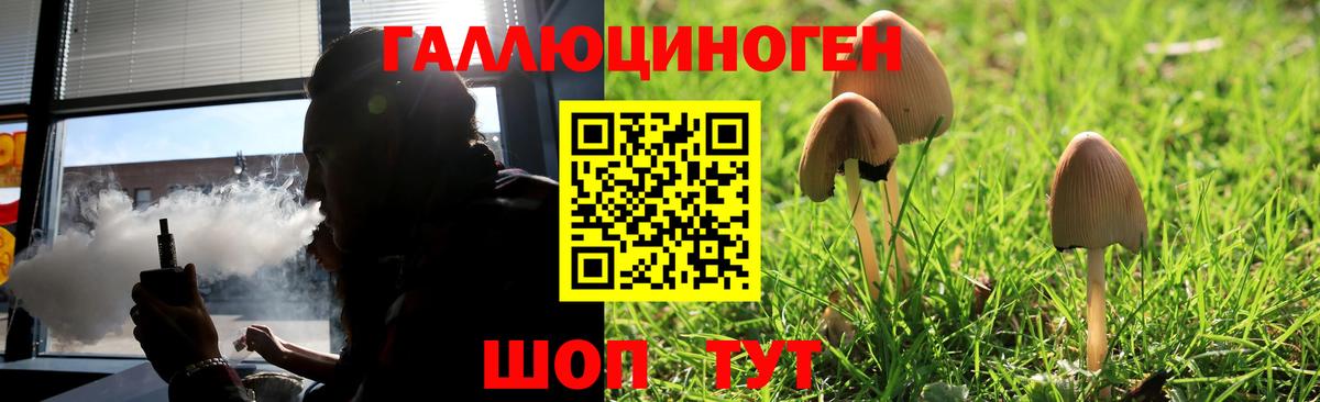 Галлюциногенные грибы Magic Shrooms  Вход с VPN  наркошоп  Лыткарино  Псилоцибиновые грибы мицелий 